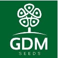 logotipo de gdm